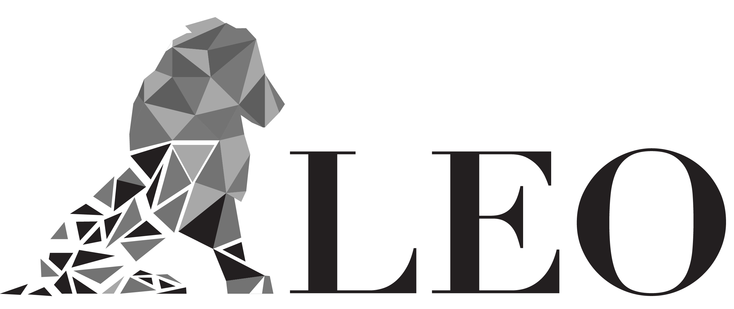 LEO Store